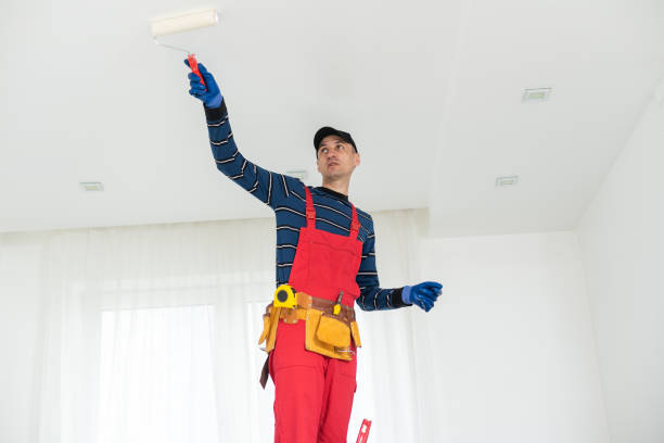 Best Basement Mold Removal  in Independence, MO